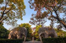 Nanjing Day Tour from Shanghai by Bullet Train