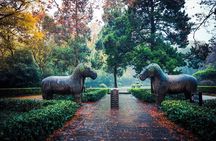 Nanjing Day Tour from Shanghai by Bullet Train