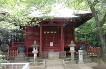 Private tour in Tokyo on your own custom itinerary