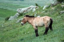 National Parks Excursion