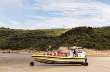 Wilsons Promontory Wilderness Cruise from Tidal River