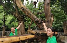 Private Dujiangyan Panda Base Panda Rescue Center Volunteer for a Day 