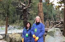 Private Dujiangyan Panda Base Panda Rescue Center Volunteer for a Day 