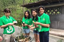 Private Dujiangyan Panda Base Panda Rescue Center Volunteer for a Day 