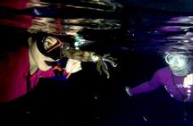 Night Snorkeling - Observation of octopus and other species