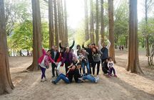 Nami Island from Seoul: Petit France and Garden of Morning Calm