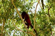 Bigi Pan Tourist Eco Lodge 