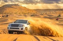 Desert Safari Morning with Camel Ride and Sand Boarding