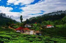 14 Days Golden Triangle tour with enchanting Kerala South India tour