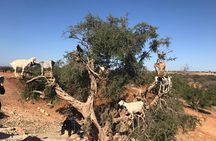 Morocco Express 6 Days