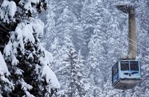 Winter - Alaska Wildlife Center with Alyeska Tram