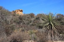Runyon Canyon Hiking Tour
