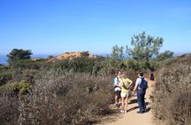 Runyon Canyon Hiking Tour