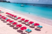 Harbour Lights-Chair &Turtle Shipwreck Snorkel Tour(10:30-1:30pm)