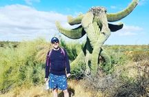  Sonoran Desert 1/2 private group Day Hike casual to challenging