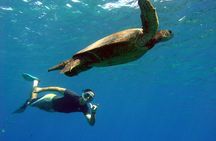 Lahaina Kayak and Snorkel Excursion