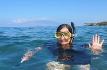 Lahaina Kayak and Snorkel Excursion