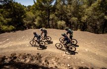 Malaga E-MTB Tour: Botanical Garden, Natural Park and Port of Malaga 