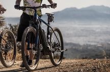 Malaga E-MTB Tour: Botanical Garden, Natural Park and Port of Malaga 