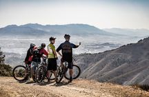 Malaga E-MTB Tour: Botanical Garden, Natural Park and Port of Malaga 