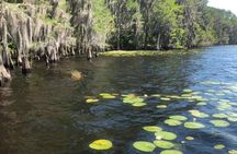 2-Hour Stand Up Paddleboard Rental from Lake Buena Vista Area