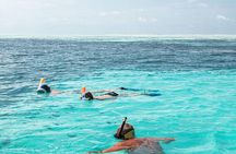 The Best 2-point Snorkeling in Padangbai: Blue lagoon and Tanjung jepun
