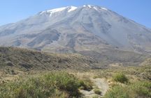 Half Day Trek To Volcan Misti