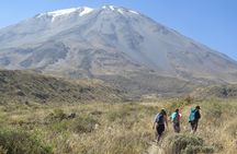 Half Day Trek To Volcan Misti