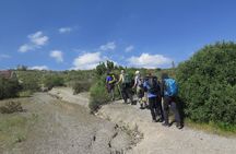 Half Day Trek To Volcan Misti