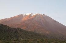 Half Day Trek To Volcan Misti