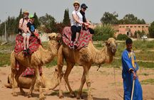 Camel riding in Agadir for Cruise ship Passengers
