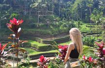 Full Board Package 3 Days Highlight Bali All Inclusive