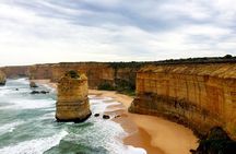 Boutique Great Ocean Road, wildlife and Rainforest Experience