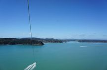 Parasailing Adventure Over the Bay of Islands