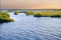 Hilton Head Island Dolphin Watching Nature Cruise