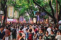 Private Day Tour: Xi'an Panda（QI ZAI）and City Highlights