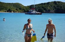 Carino Wildlife Cruises - Island and Wildlife Day Cruise