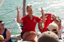 Carino Wildlife Cruises - Island and Wildlife Day Cruise