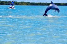 Backwater Adventure's CraigCat Tours of the 10,000 Islands
