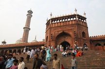 Private Old and New Delhi Tour - Best of Delhi in 8 Hours with Entrances