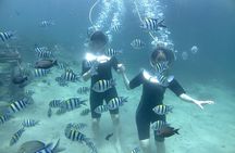 Bali Seawalker 
