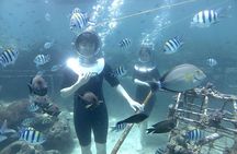 Bali Seawalker 