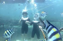 Bali Seawalker 