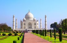 Private 3-Day Ranthambhore Tiger Tour from Agra ending in Jaipur