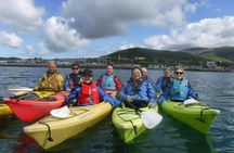 5-Day Spectacular South and West Small-Group Tour of Ireland from Dublin