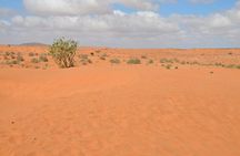 Massa 4x4 & small dunes with lunch day trip from Agadir