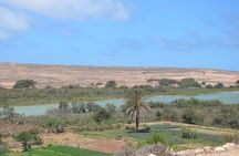 Massa 4x4 & small dunes with lunch day trip from Agadir