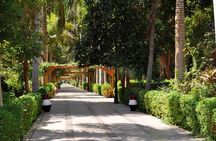 Aswan Botanical Garden 