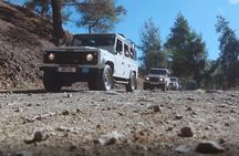 Grand Tour 4x4 Safari from Paphos