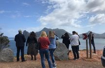 Visit African Penguins and Cape of Good Hope 